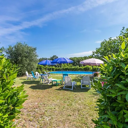 Ortensia By Interhome Appartamento